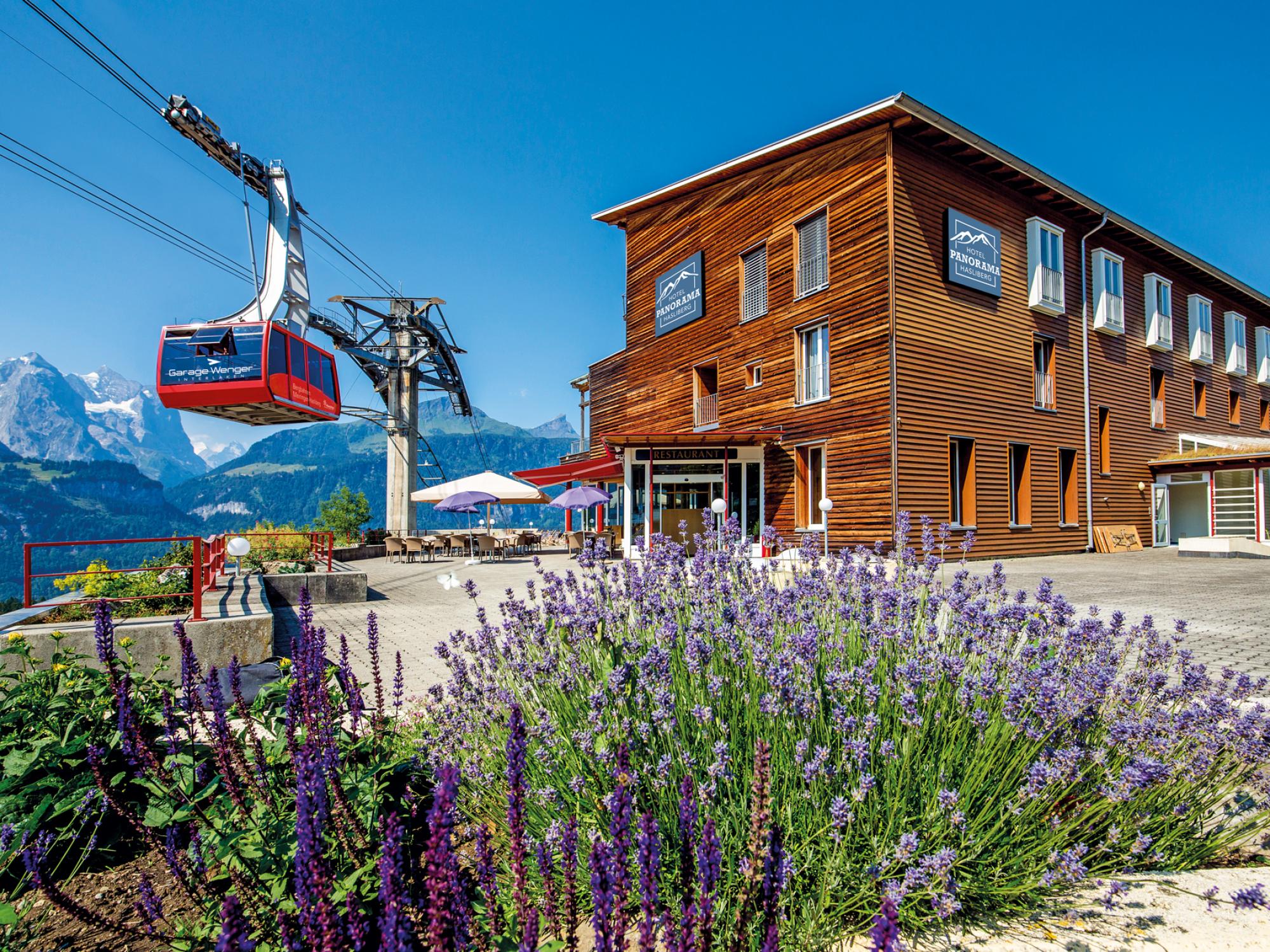 hotel_panorama_summer_home